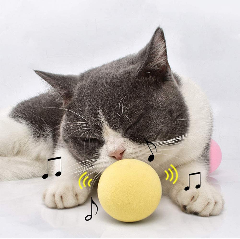 SmartBall™ - Balle intelligente d'apprentissage pour chat - Chaltesse.com